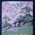 山林支隊