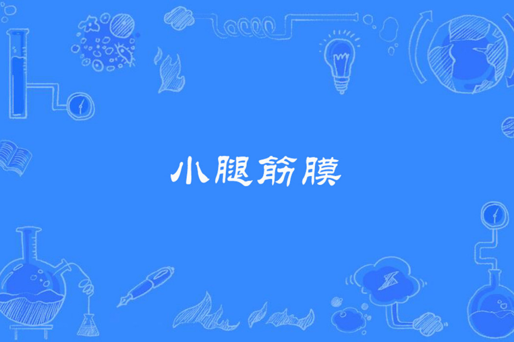 小腿筋膜 小腿筋膜