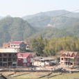 沈莊村(安徽鳳台縣丁集鄉下轄村) 沈莊村(安徽鳳台縣丁集鄉下轄村)