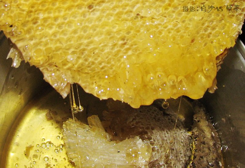 野蜂蜜(蜂蜜的一種)