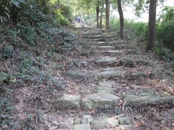 洞山古道 洞山古道