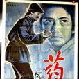 藥(1981年長春電影製片廠拍攝電影) 藥(1981年長春電影製片廠拍攝電影)