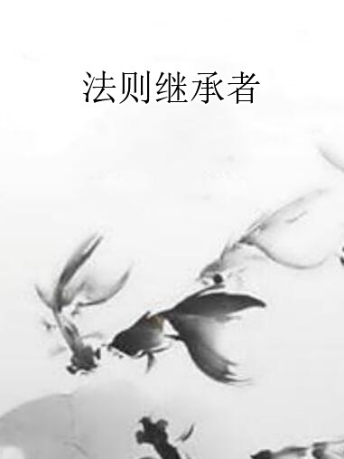 法則繼承者 法則繼承者
