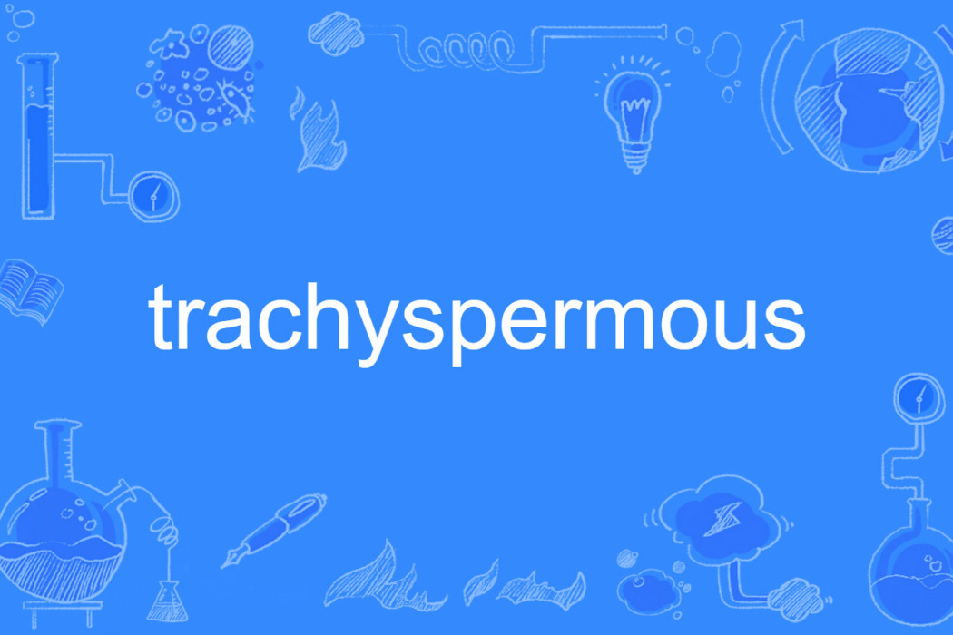 trachyspermous trachyspermous