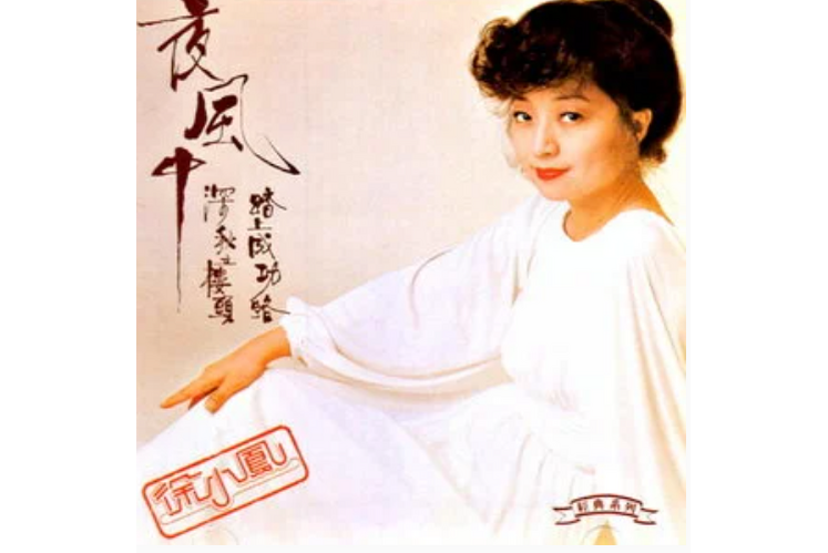 賣餛飩(徐小鳳演唱歌曲) 賣餛飩(徐小鳳演唱歌曲)
