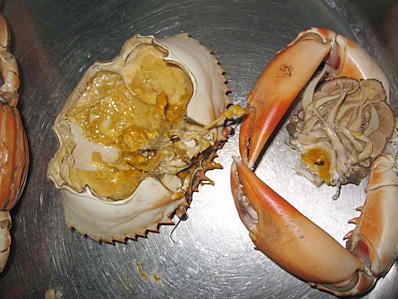 珠海膏蟹