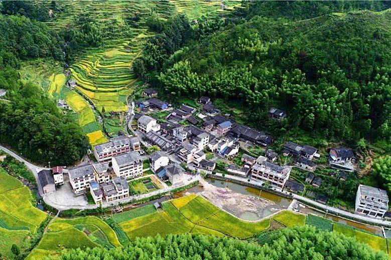 坑斗村 坑斗村