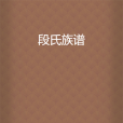 段氏族譜 段氏族譜
