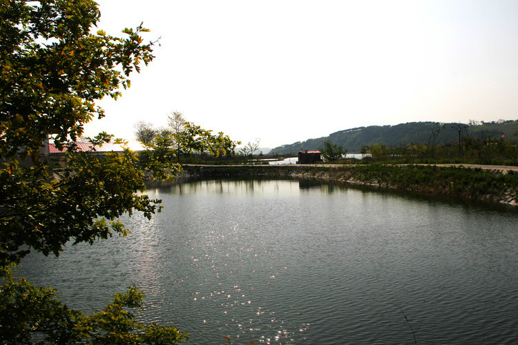 柳林河上游
