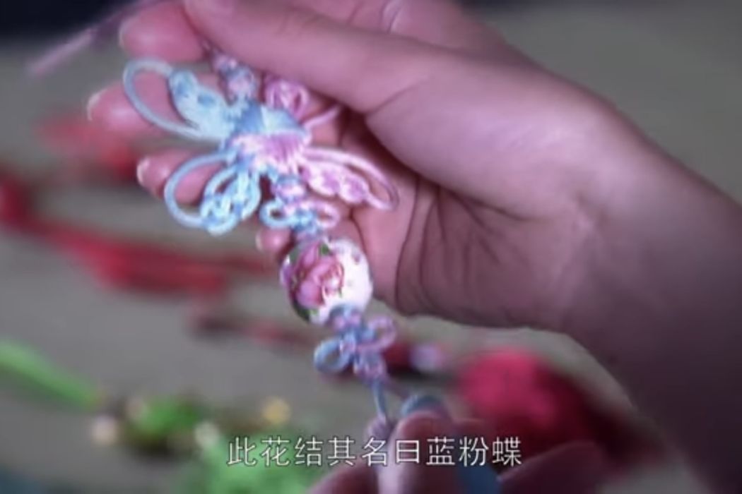 藍粉蝶 藍粉蝶