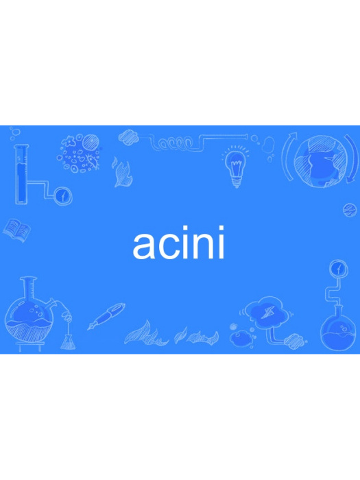 acini acini