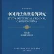 中國刑法典型案例研究·第五卷