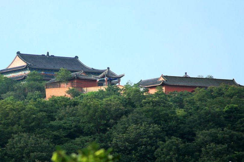 安山草科(高柱花科)