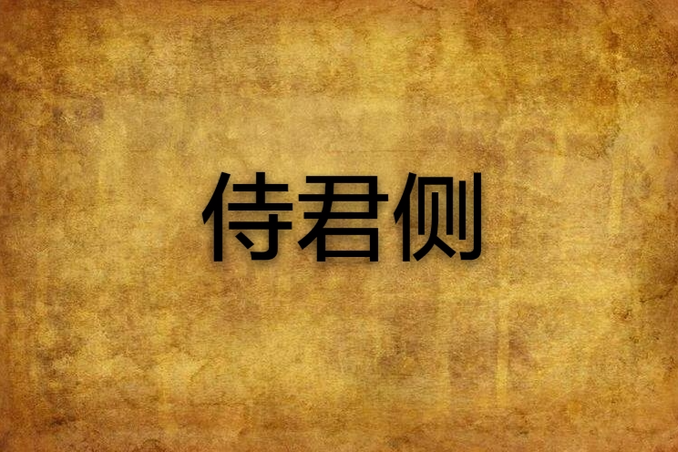 侍君側(安之雨創作的網路小說)