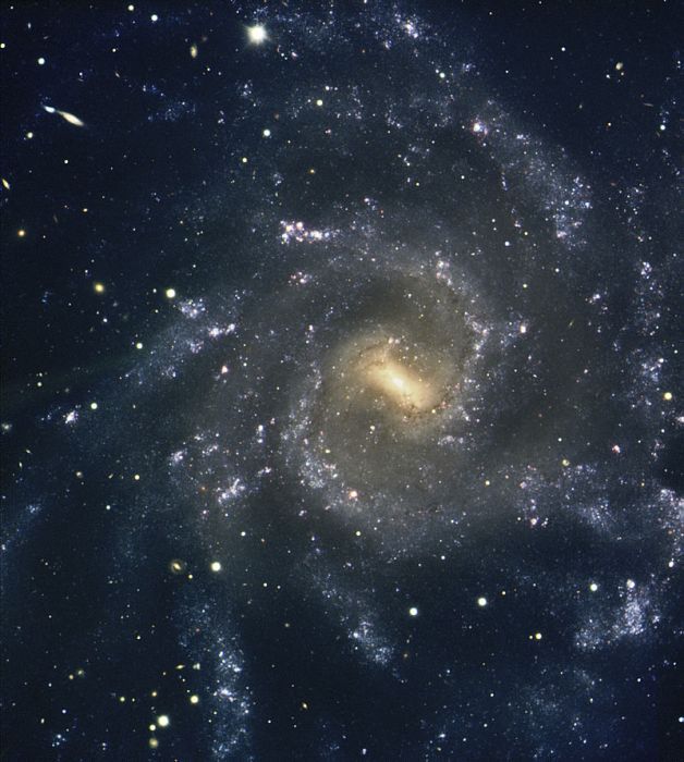 NGC 7424 NGC 7424