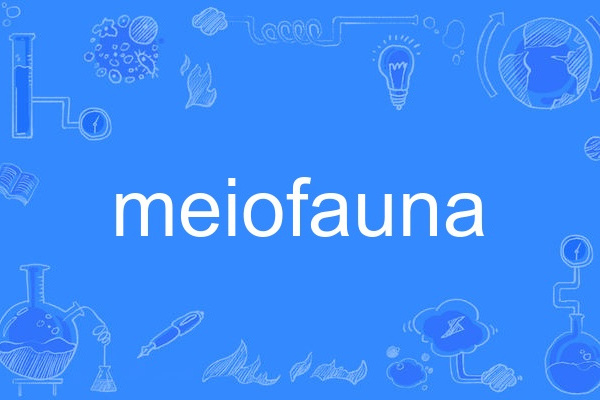 meiofauna meiofauna