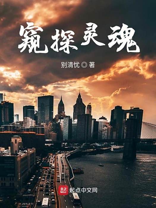 窺探靈魂 窺探靈魂