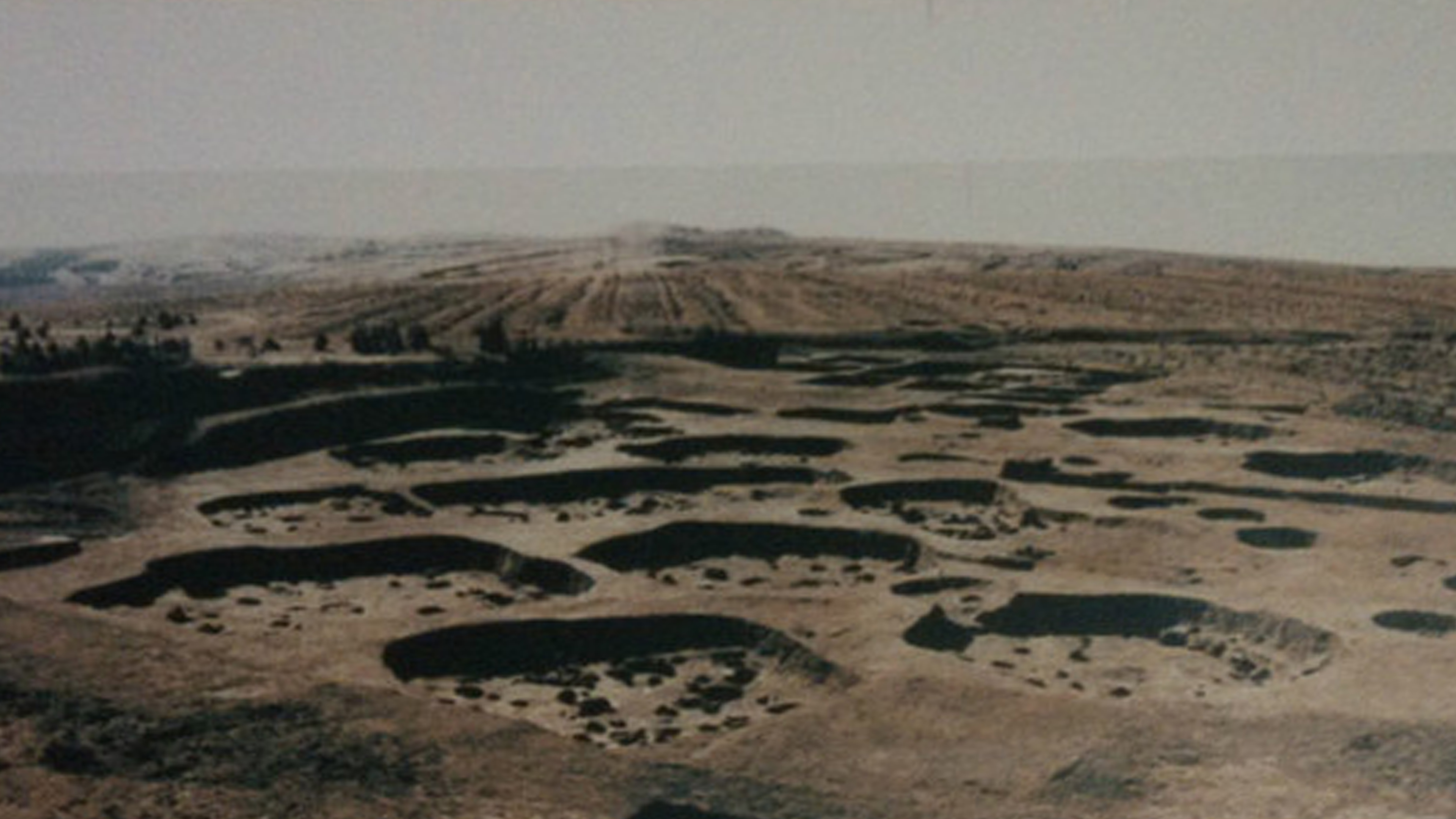 考古現場（1993年）