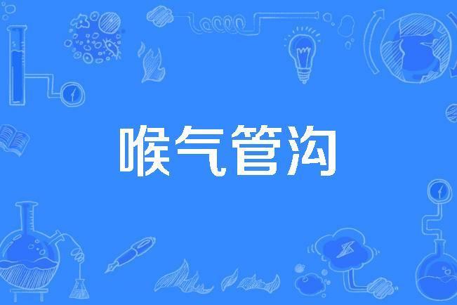 喉氣管溝 喉氣管溝