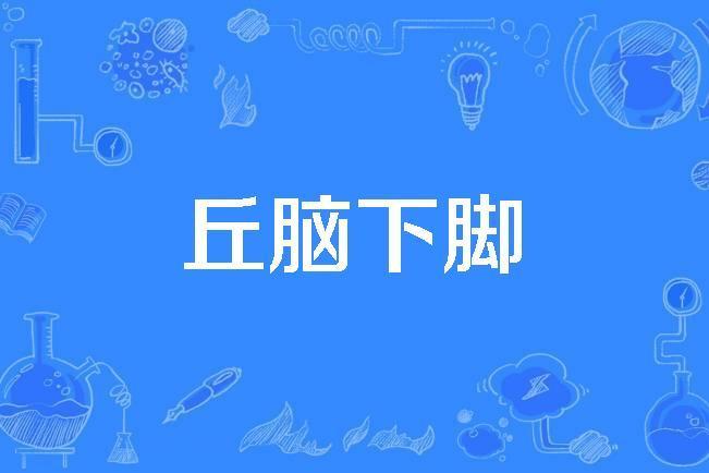 丘腦下腳 丘腦下腳