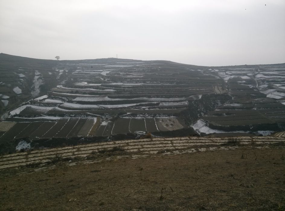 陡坡村(甘肅省康樂縣白王鄉陡坡村) 陡坡村(甘肅省康樂縣白王鄉陡坡村)