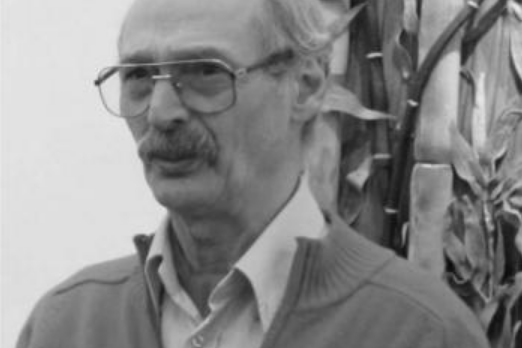 Piero Gilardi Piero Gilardi