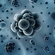 空氣微生物 空氣微生物