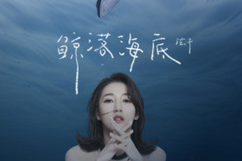 鯨落海底 鯨落海底