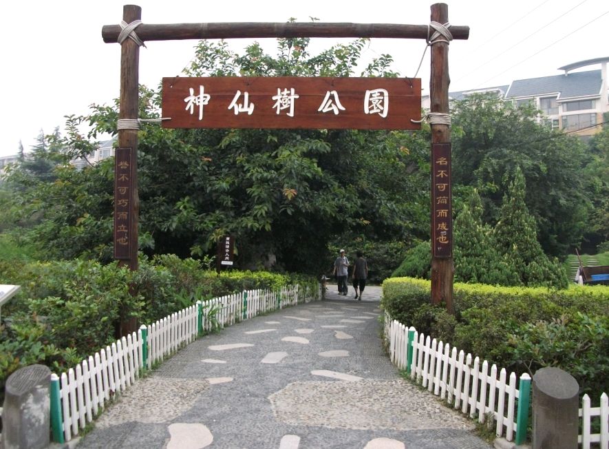神仙樹公園