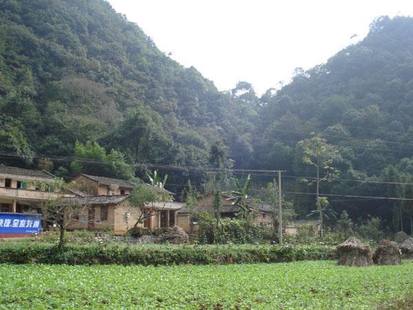 魚布那村 魚布那村