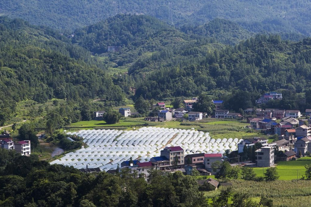 後東旺坪村 後東旺坪村