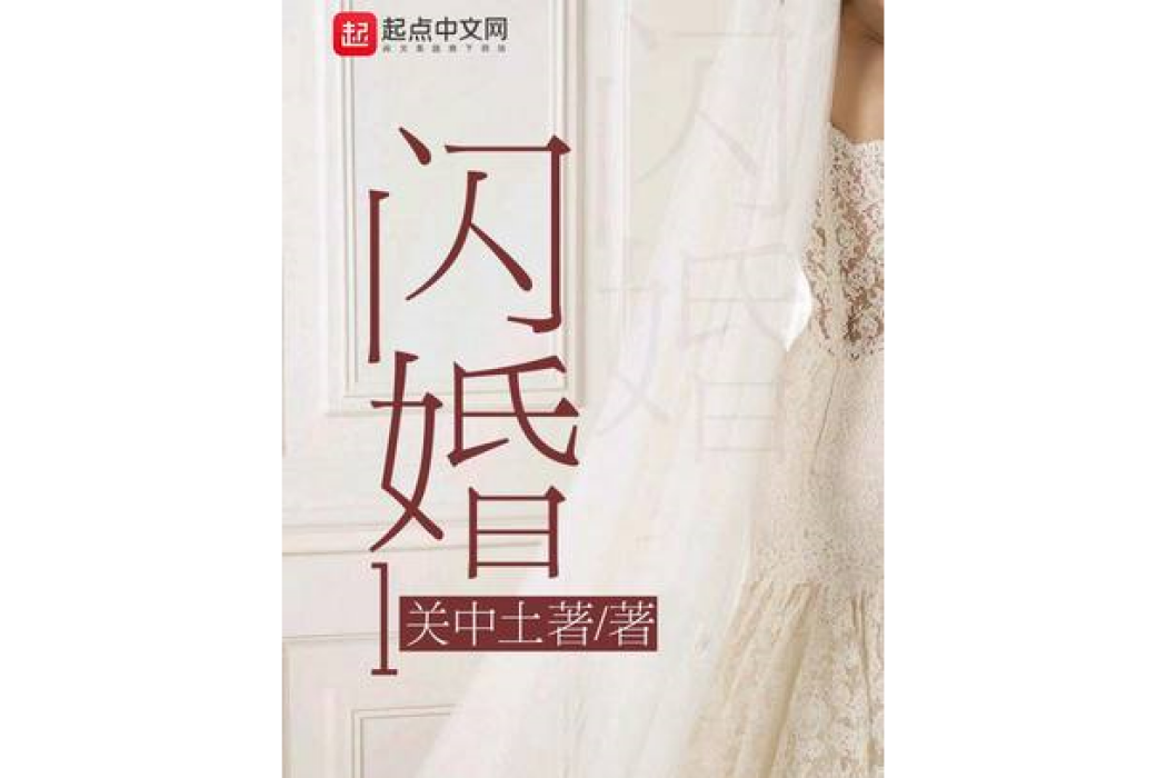 閃婚1 閃婚1