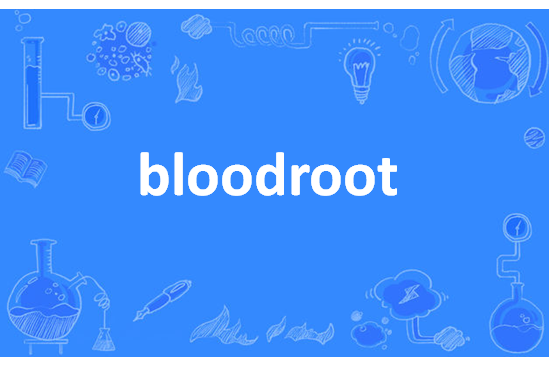 bloodroot bloodroot