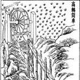 高轉筒車 高轉筒車