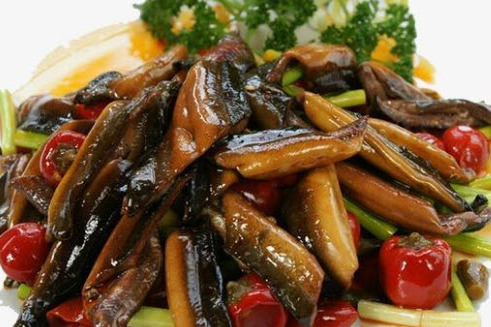 炮筒鱔魚