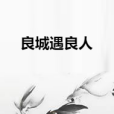 良城遇良人