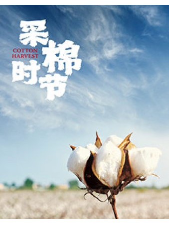 采棉時節 采棉時節