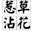 惹草沾花 惹草沾花