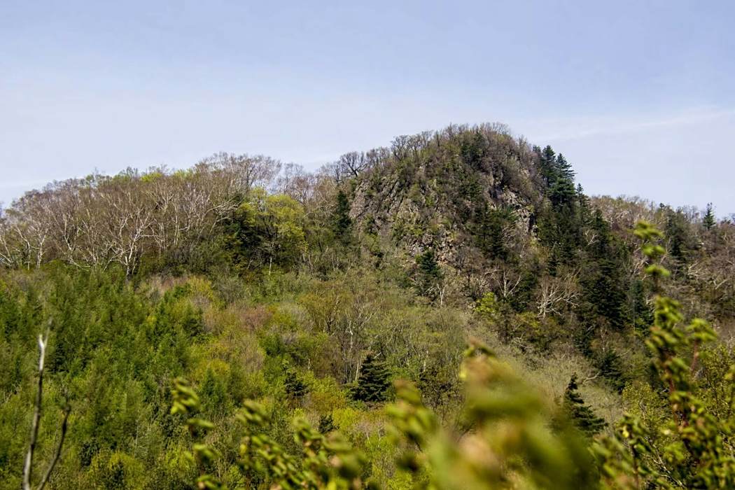 青頂子山 青頂子山
