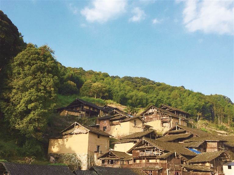 紫竹村 紫竹村