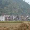 共和村(江蘇南京市溧水區開發區轄村) 共和村(江蘇南京市溧水區開發區轄村)