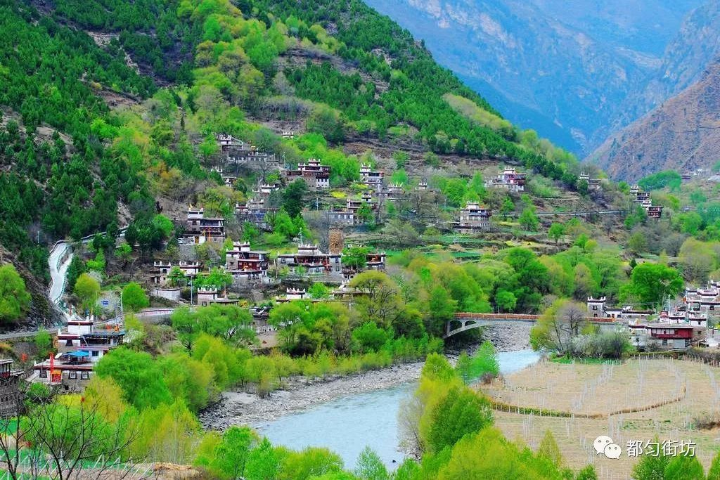 掌布村 掌布村