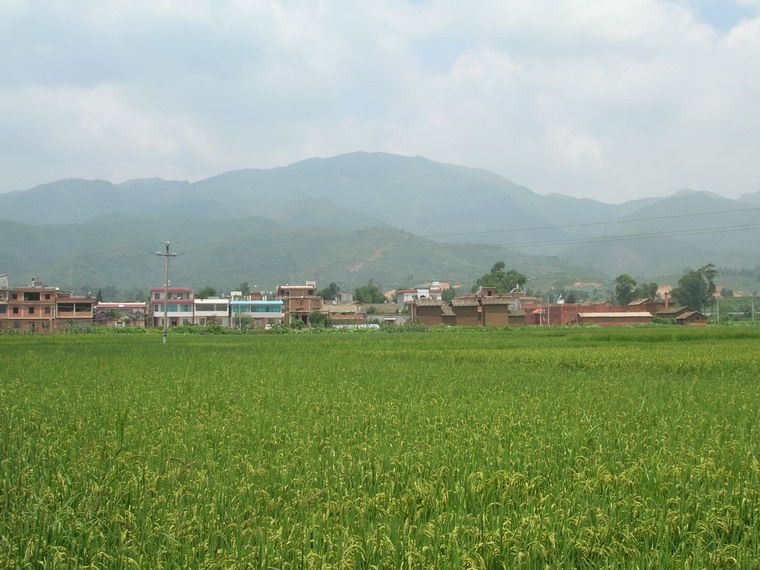已樂村
