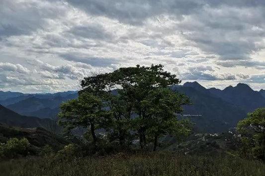 理安山 理安山