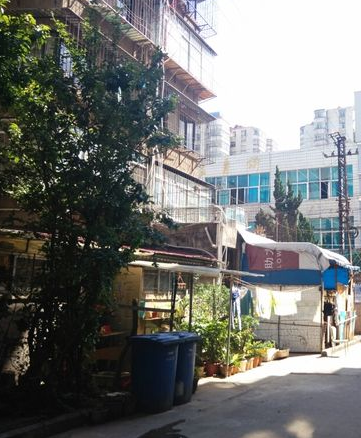 近華浦路 近華浦路