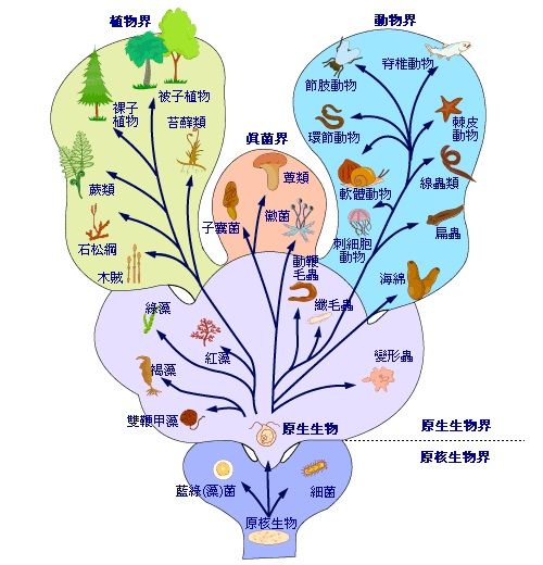 三界生命 三界生命
