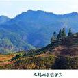 九龍山(湖南省隆回縣九龍山) 九龍山(湖南省隆回縣九龍山)