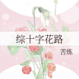 綜十字花路 綜十字花路