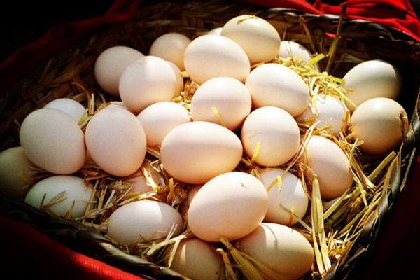 鄉城藏雞蛋