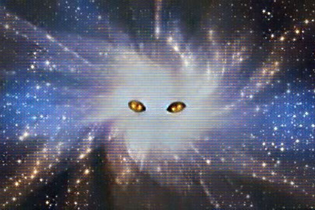 憎恨之星 憎恨之星
